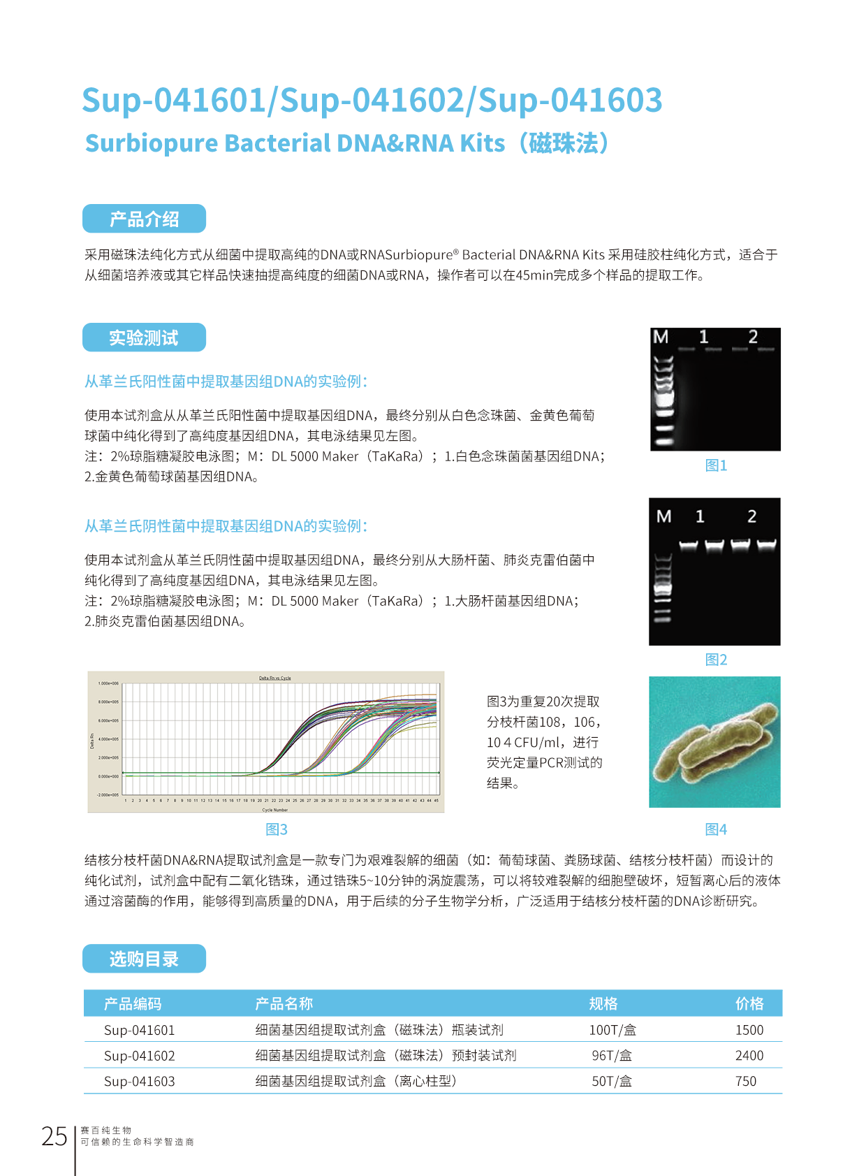 畫闆 25.png