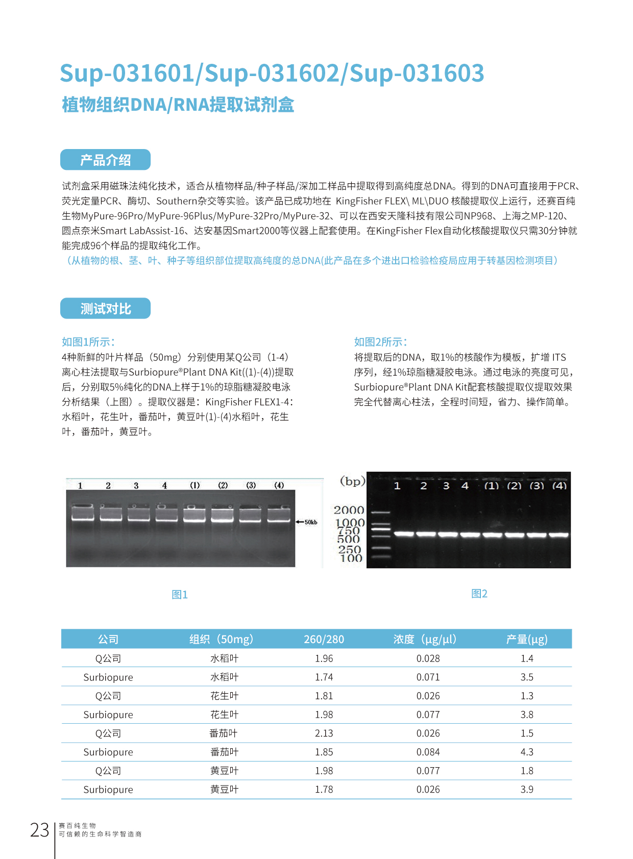 畫闆 23.jpg